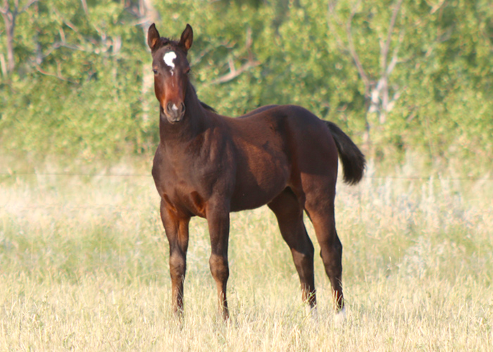 Lot 15 Weavers Ms Busy Doc Lot 15 Weavers Ms Busy Doc