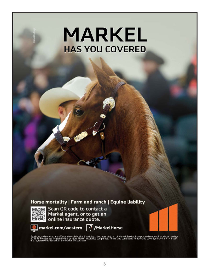 Markel Insurance