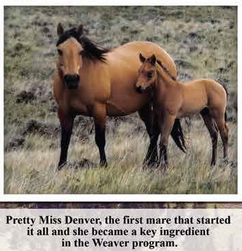 23-pretty-miss-denver.jpg