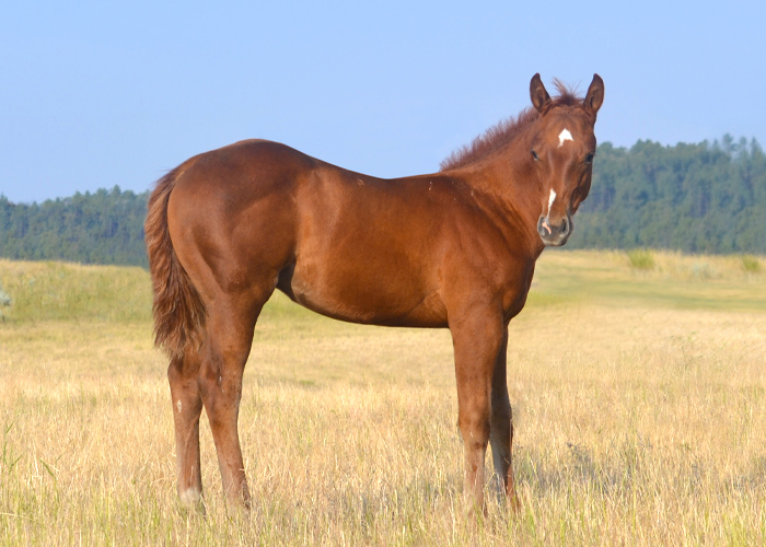 Lot 9 Weavers Whiskey Boon